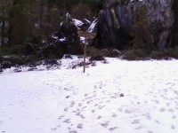 /album/riopar-nacimiento-rio-mundo-/a1781794-580909495332895-345027820-o-1-jpg/